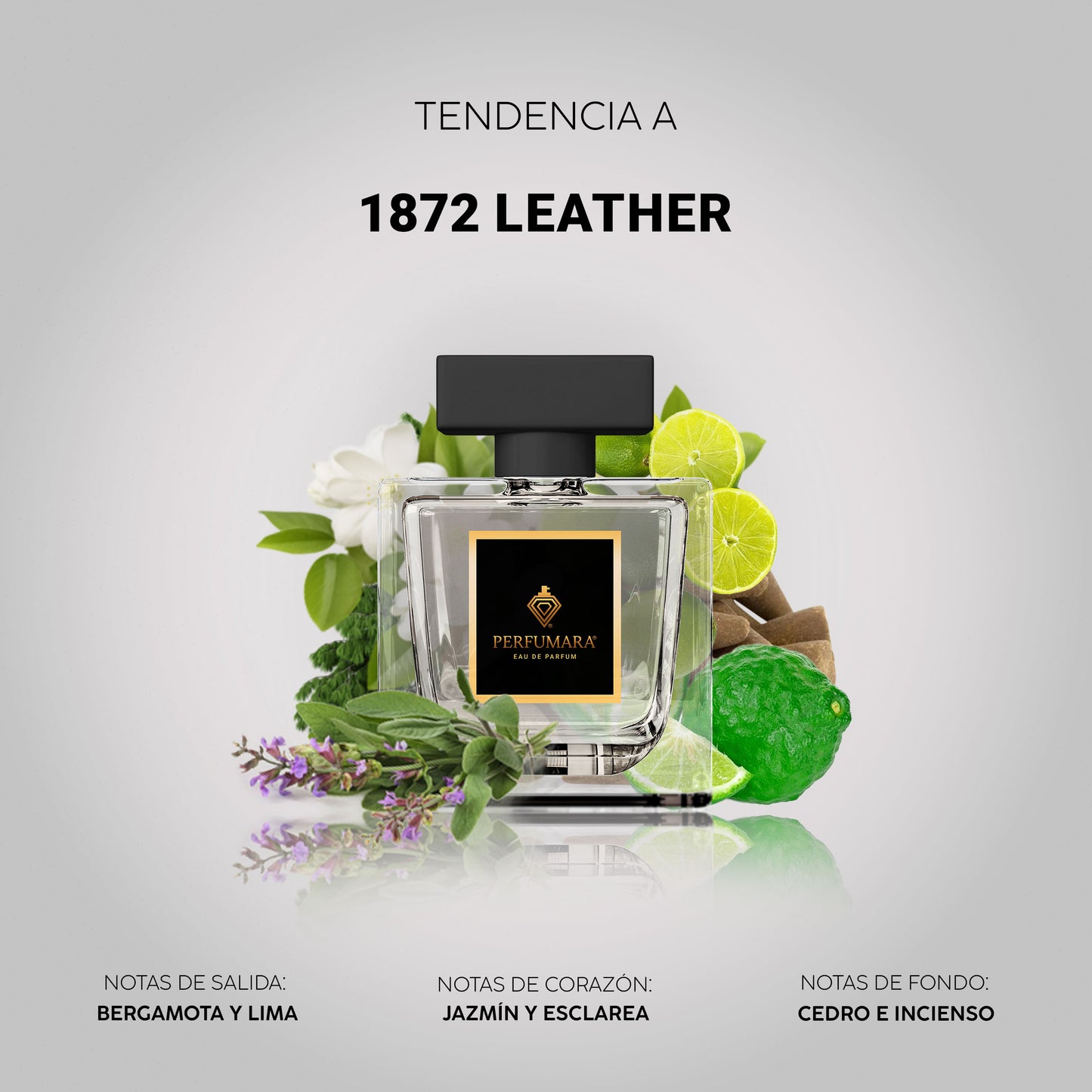 Tendencia a C1872 Leather