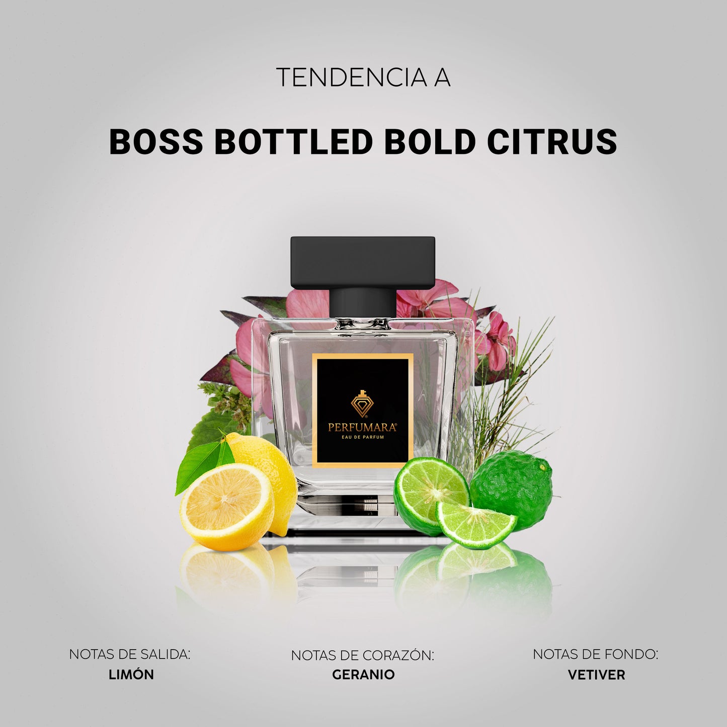 Tendencia a CBoss Bottled bold citrus