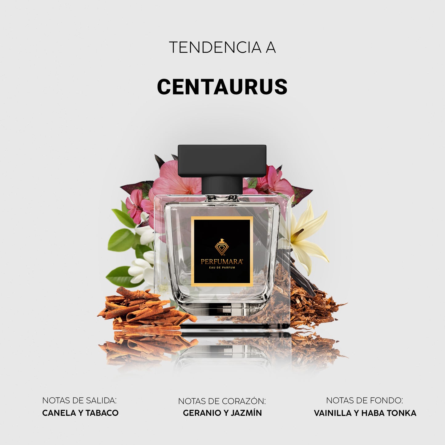 Tendencia a CCentaurus