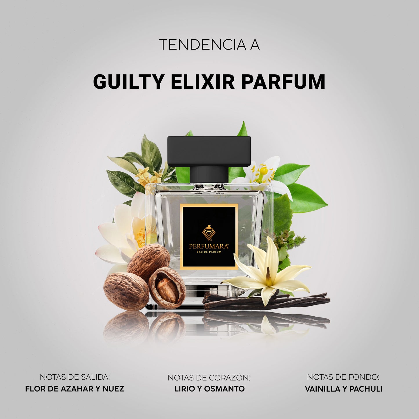 Tendencia a DGuilty elixir parfum