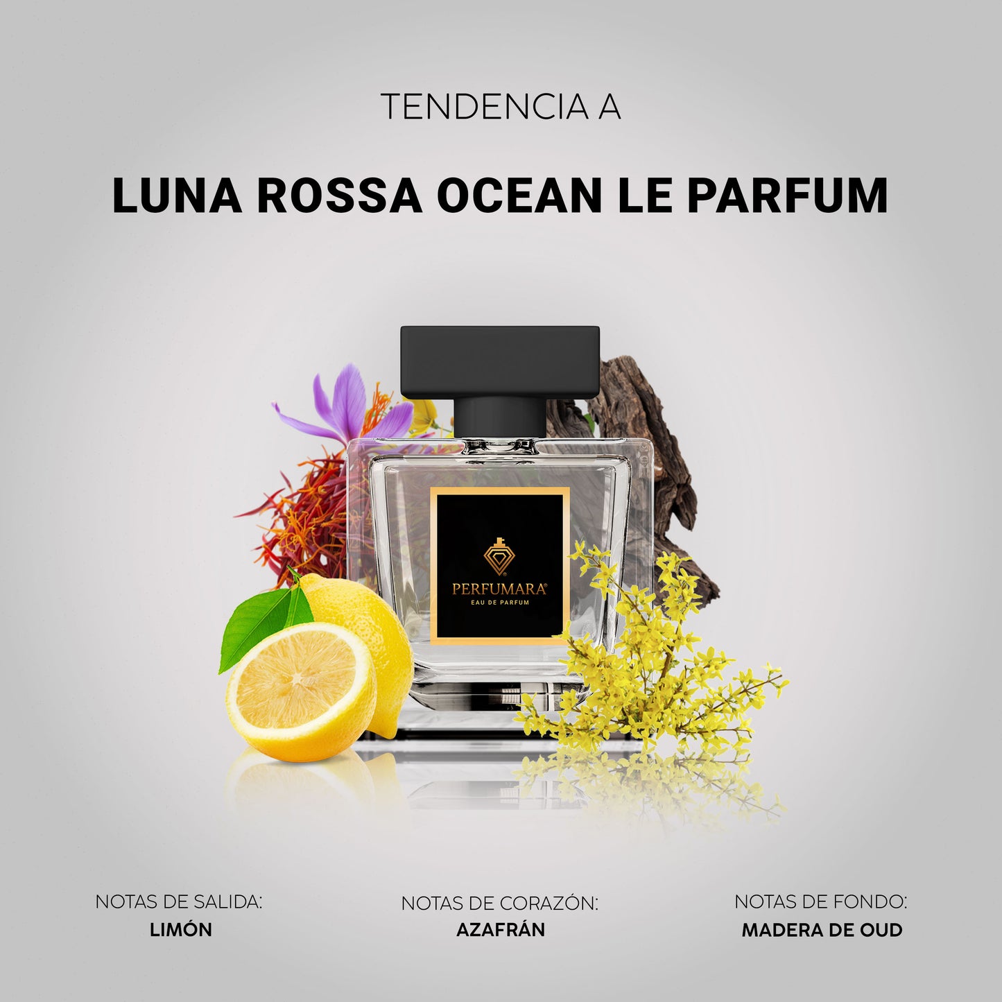 Tendencia a CLuna rossa ocean le parfum