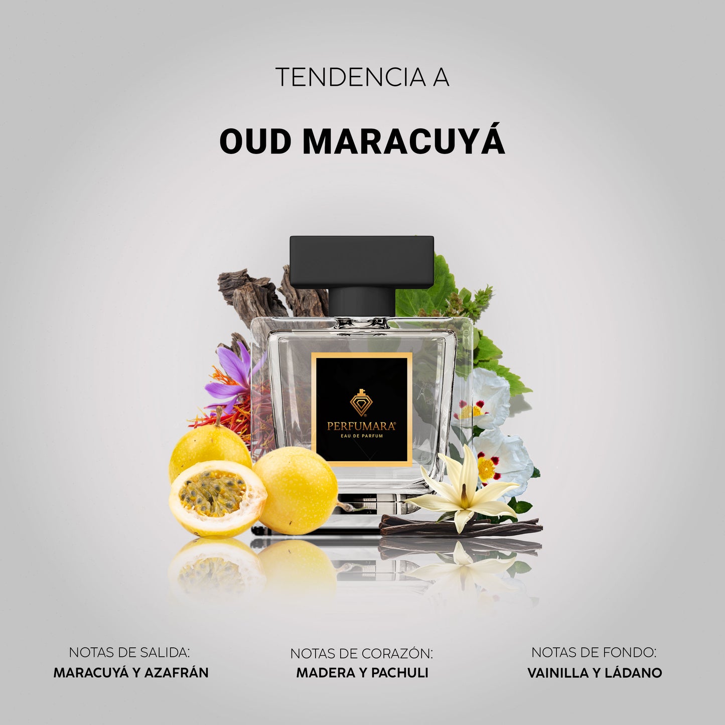 Tendencia a UOud maracuya