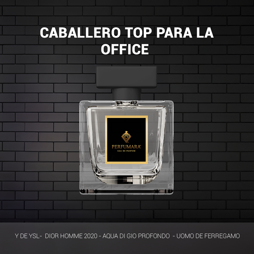CABALLERO TOP PARA LA OFFICE