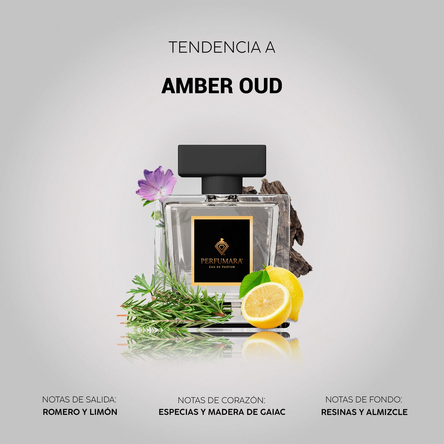Tendencia a UAmber Oud