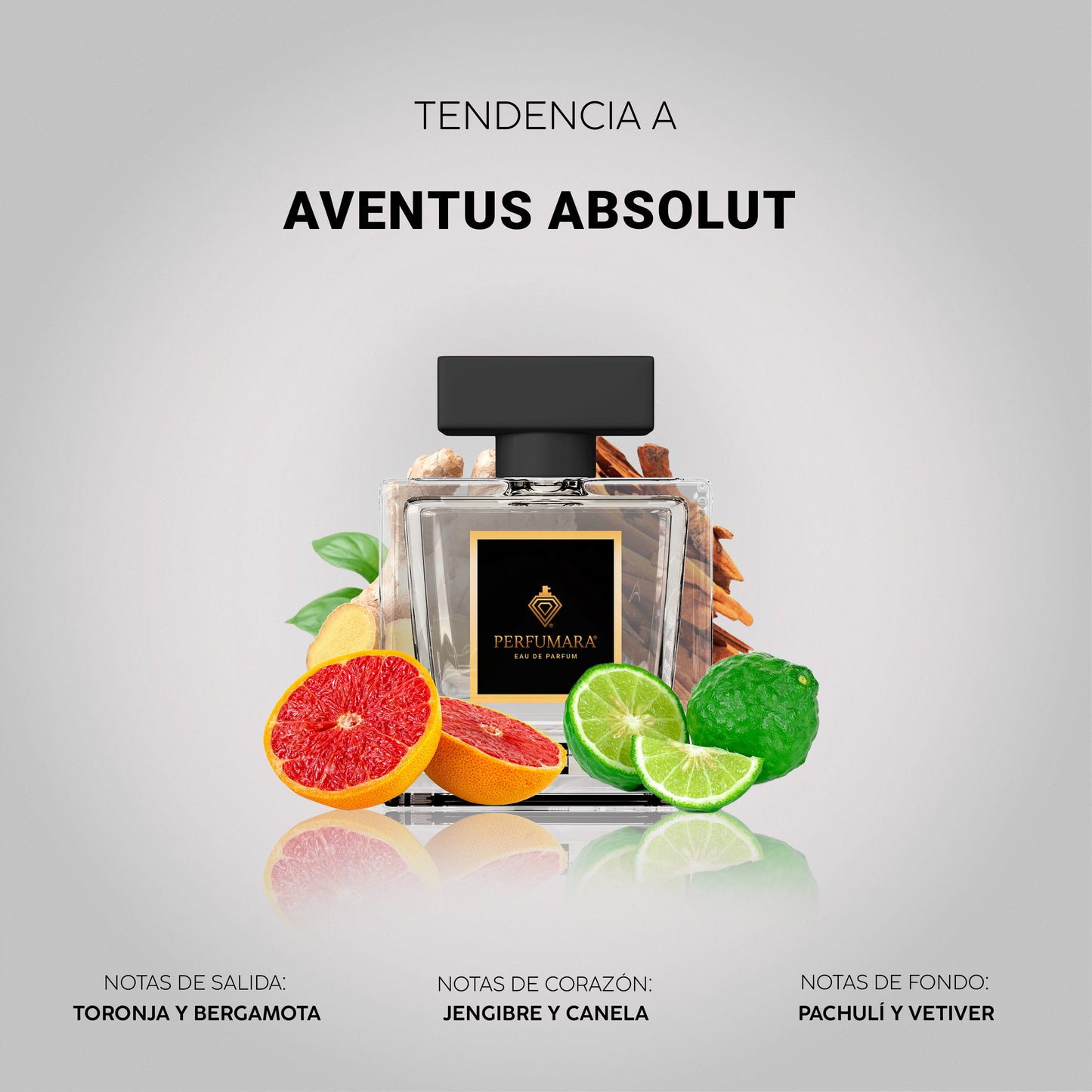 Tendencia a CAbsolu Aventus