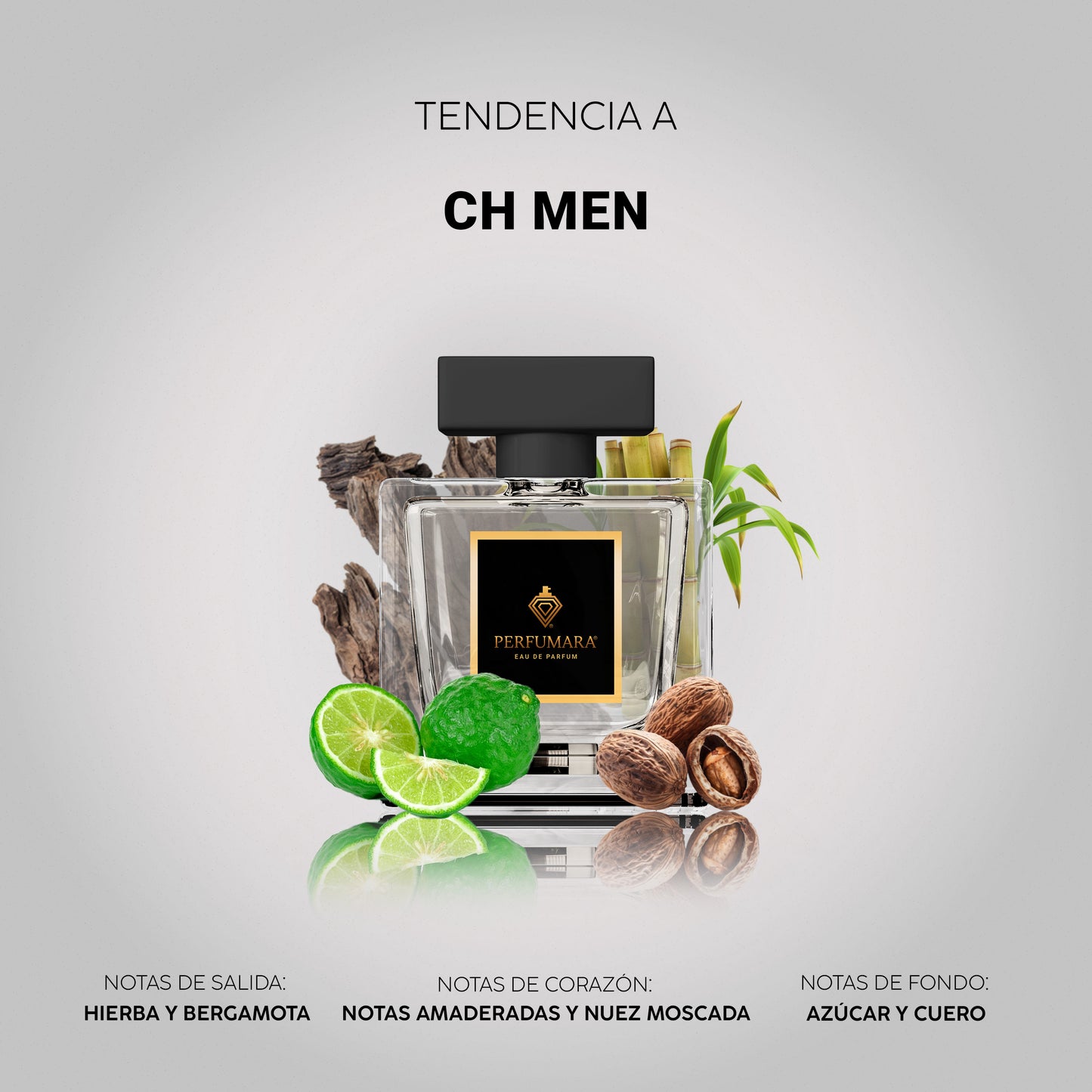 Tendencia a CCH Men