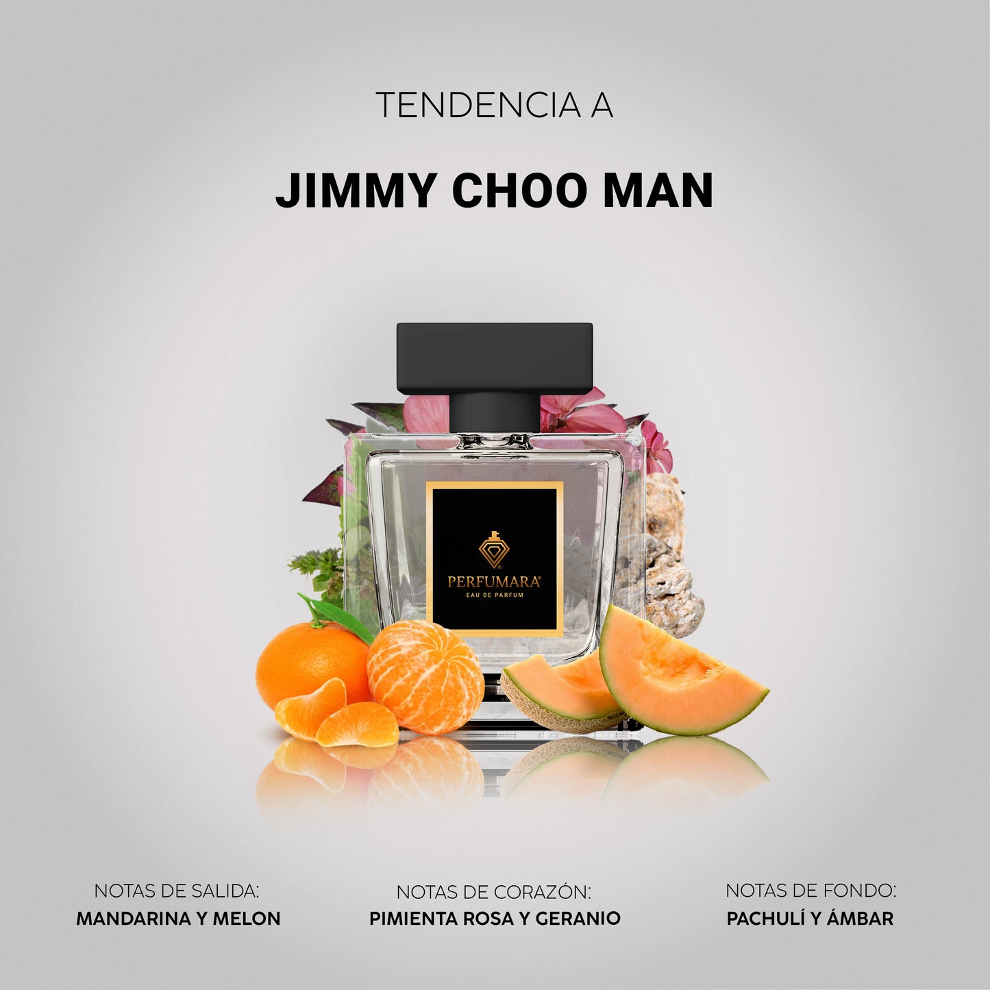 Tendencia a CJimmy Choo Man
