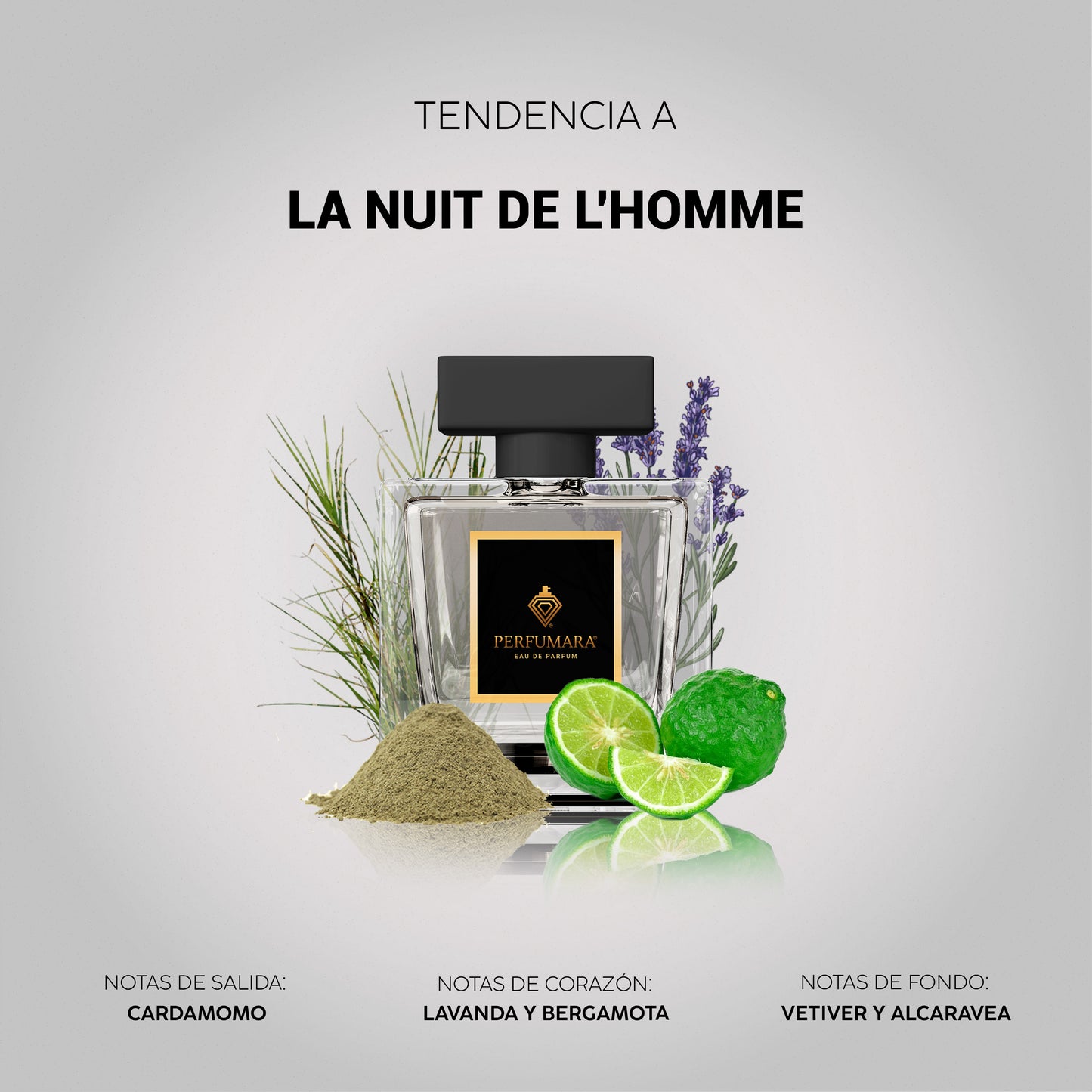 Tendencia a CCLa Nuit de l'Homme