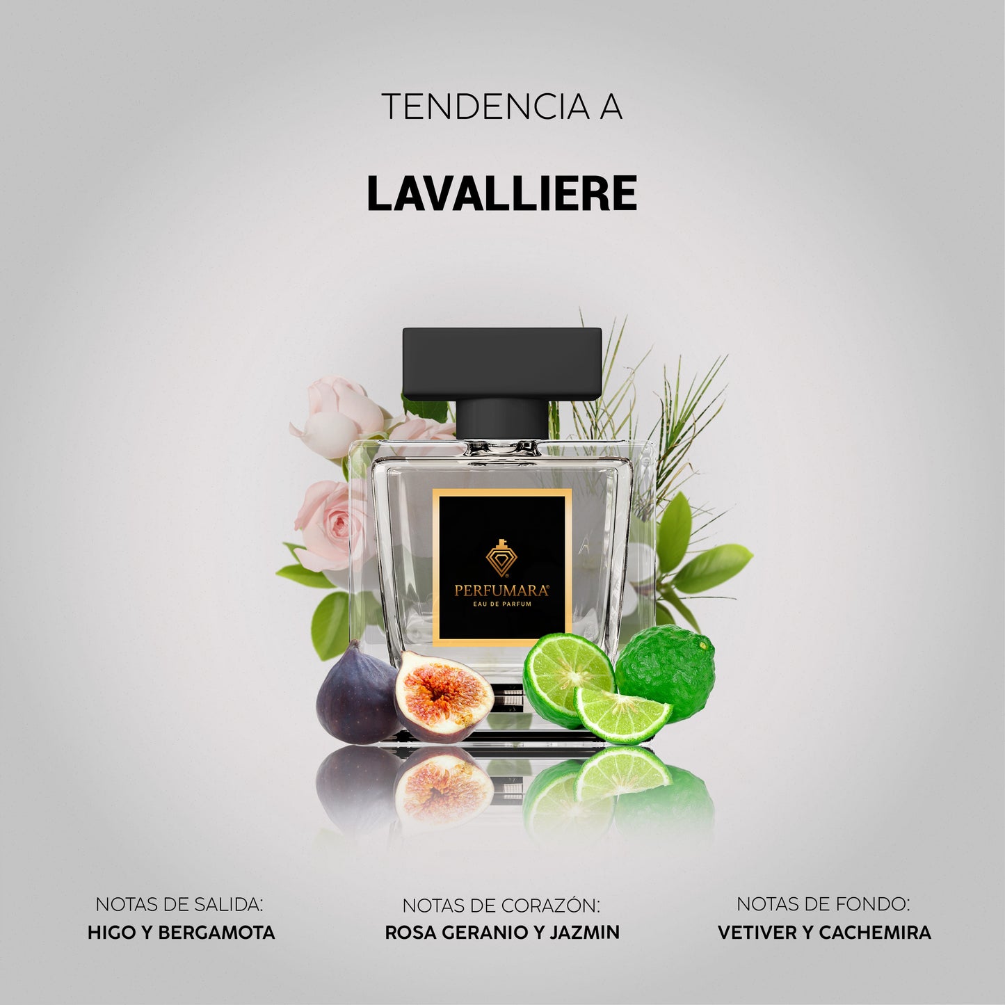 Tendencia a ULavalliere