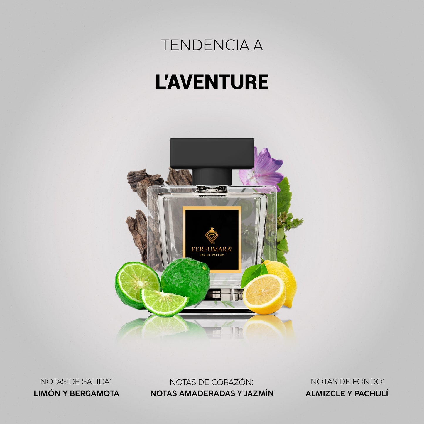 Tendencia a CL'Aventure
