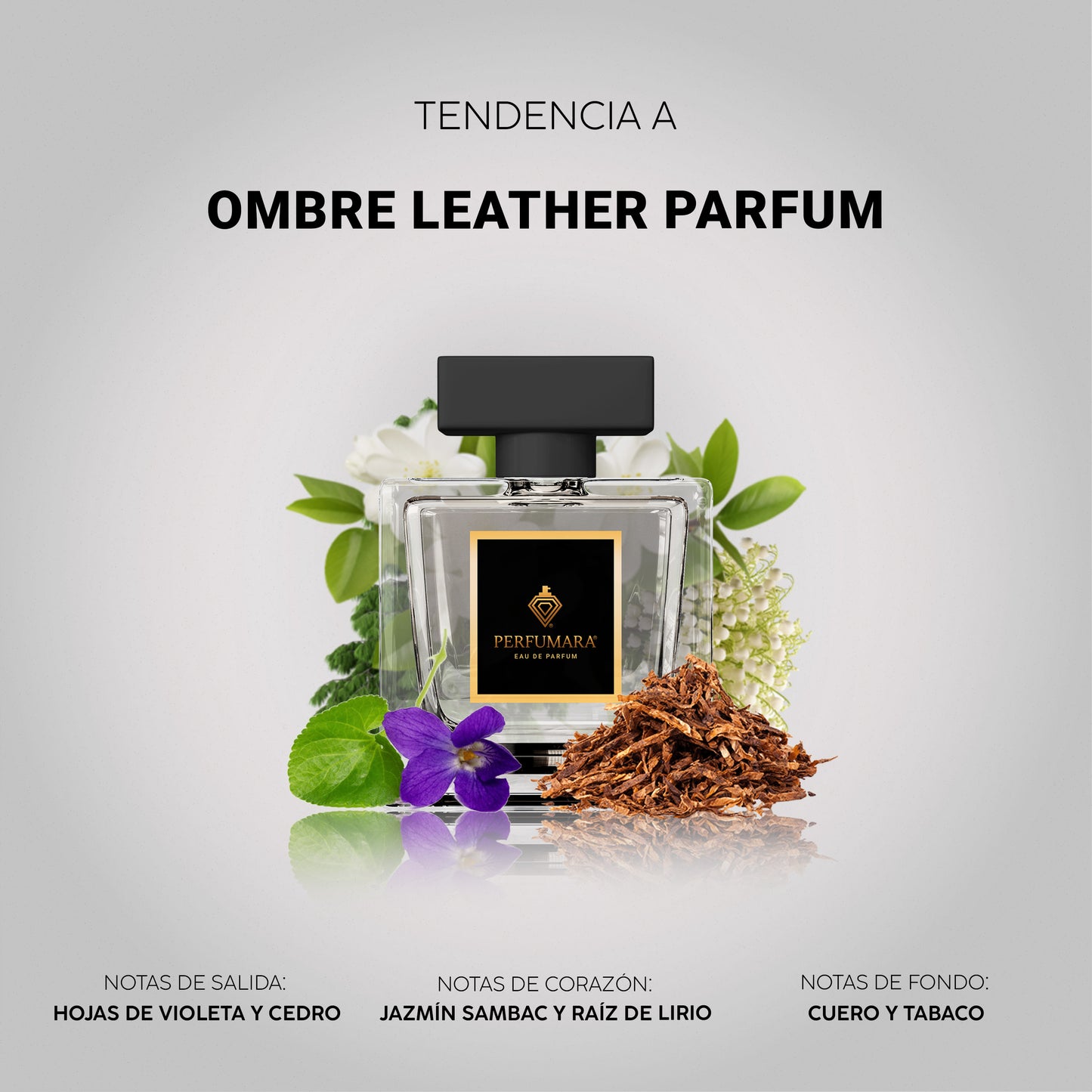 Tendencia a COmbré Leather Parfum