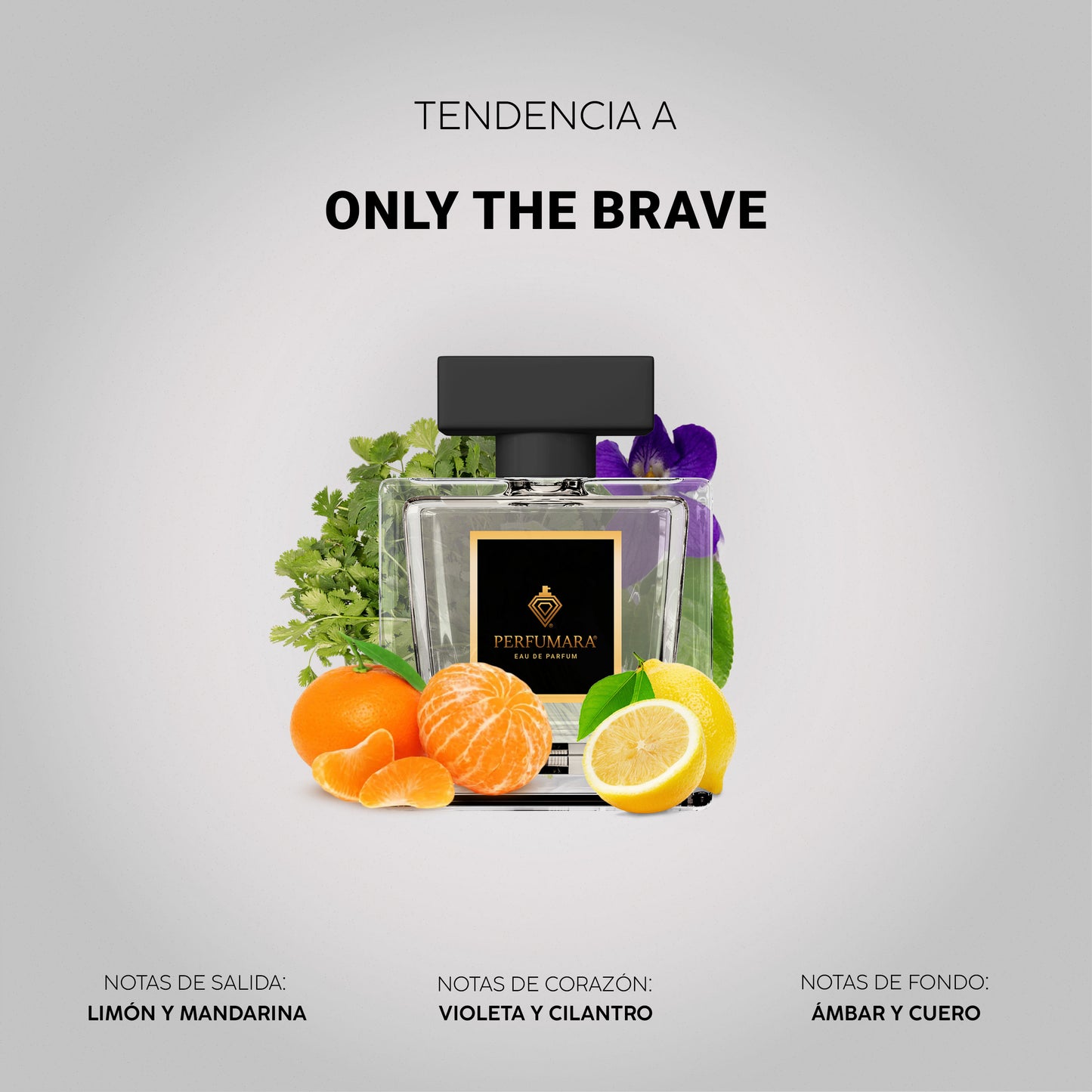 Tendencia a COnly The Brave