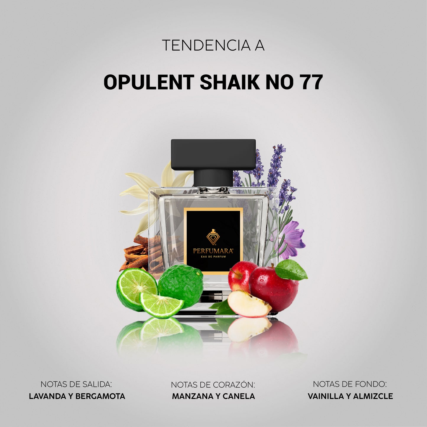 Tendencia a COpulent Shaik No 77