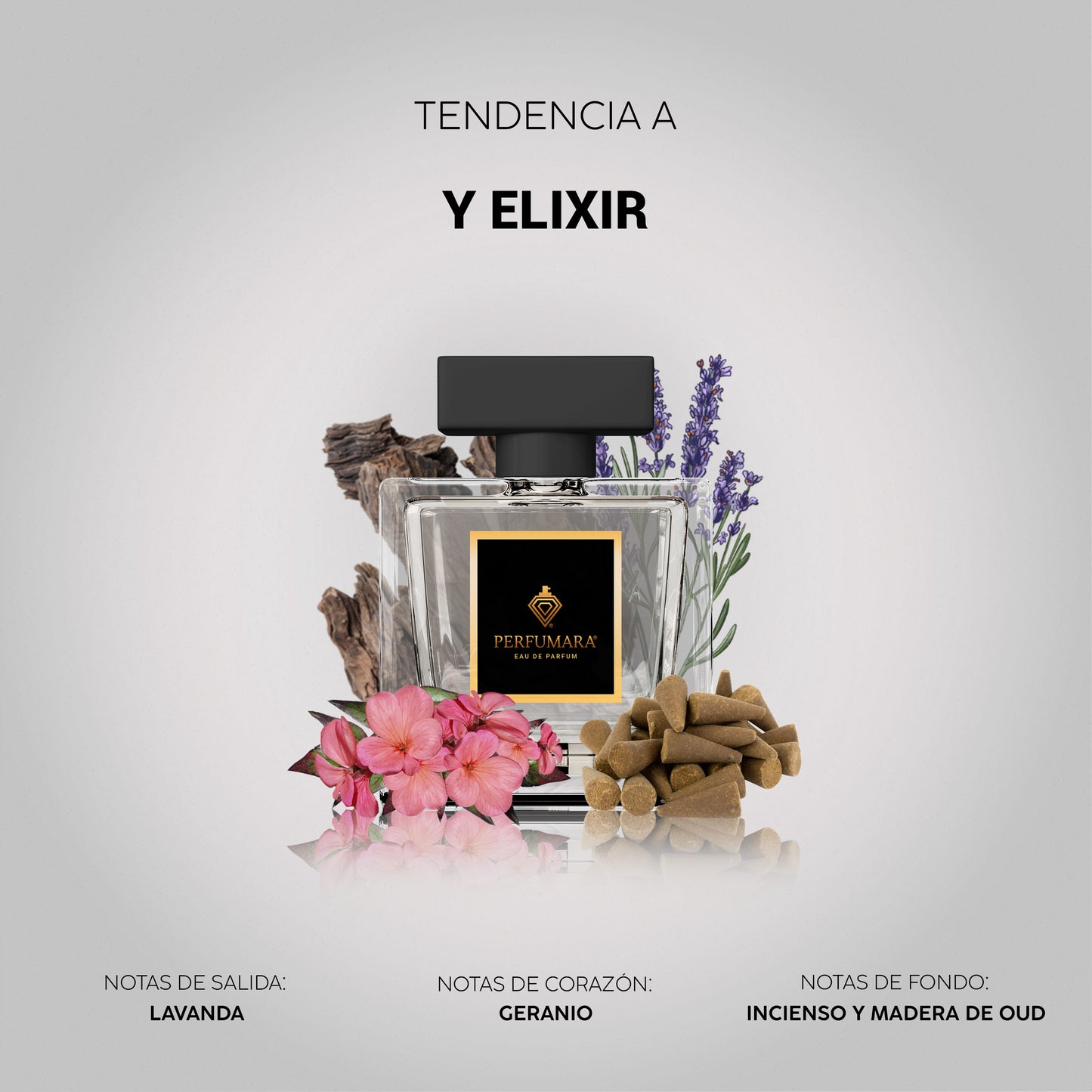 Tendencia a CY Elixir