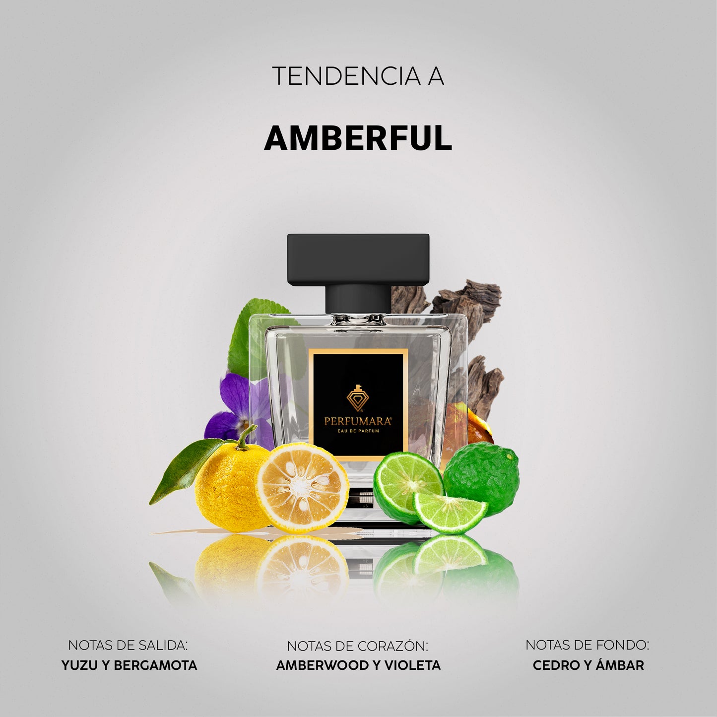Tendencia a UAmberful