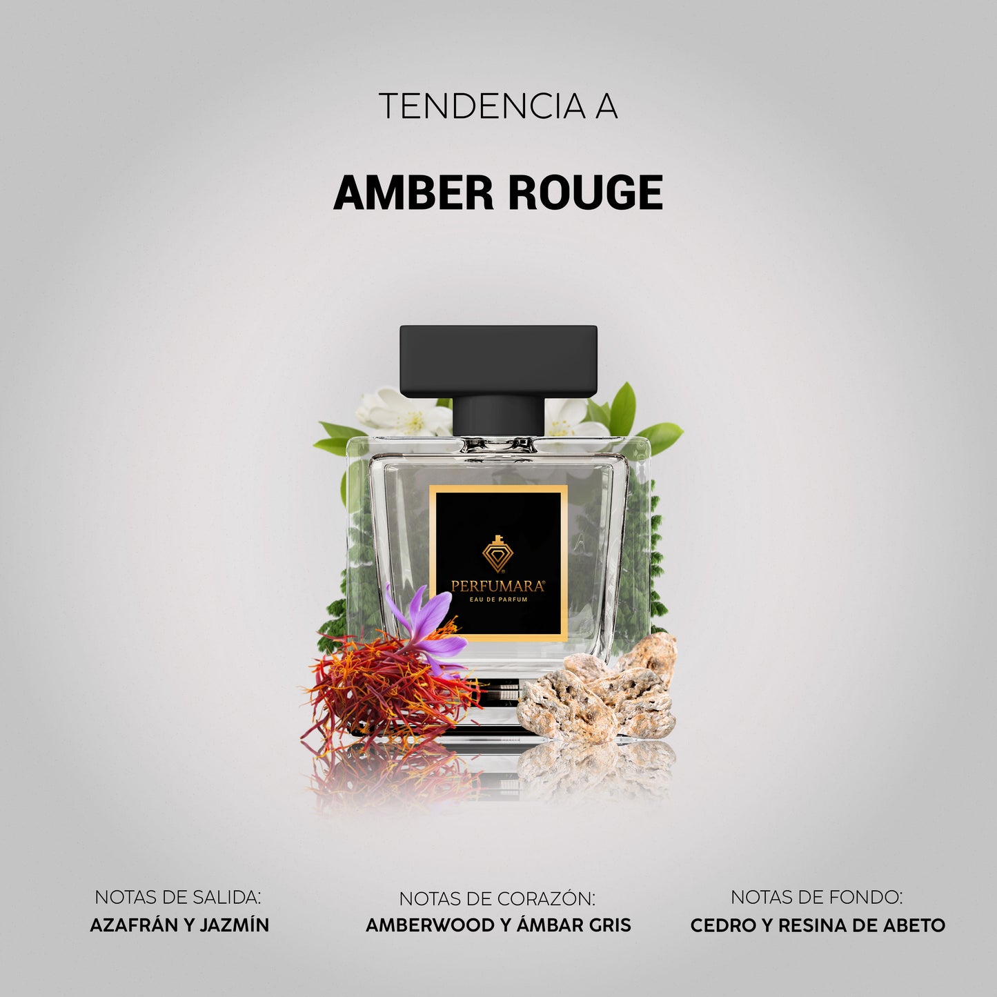Tendencia a UAmber Rouge