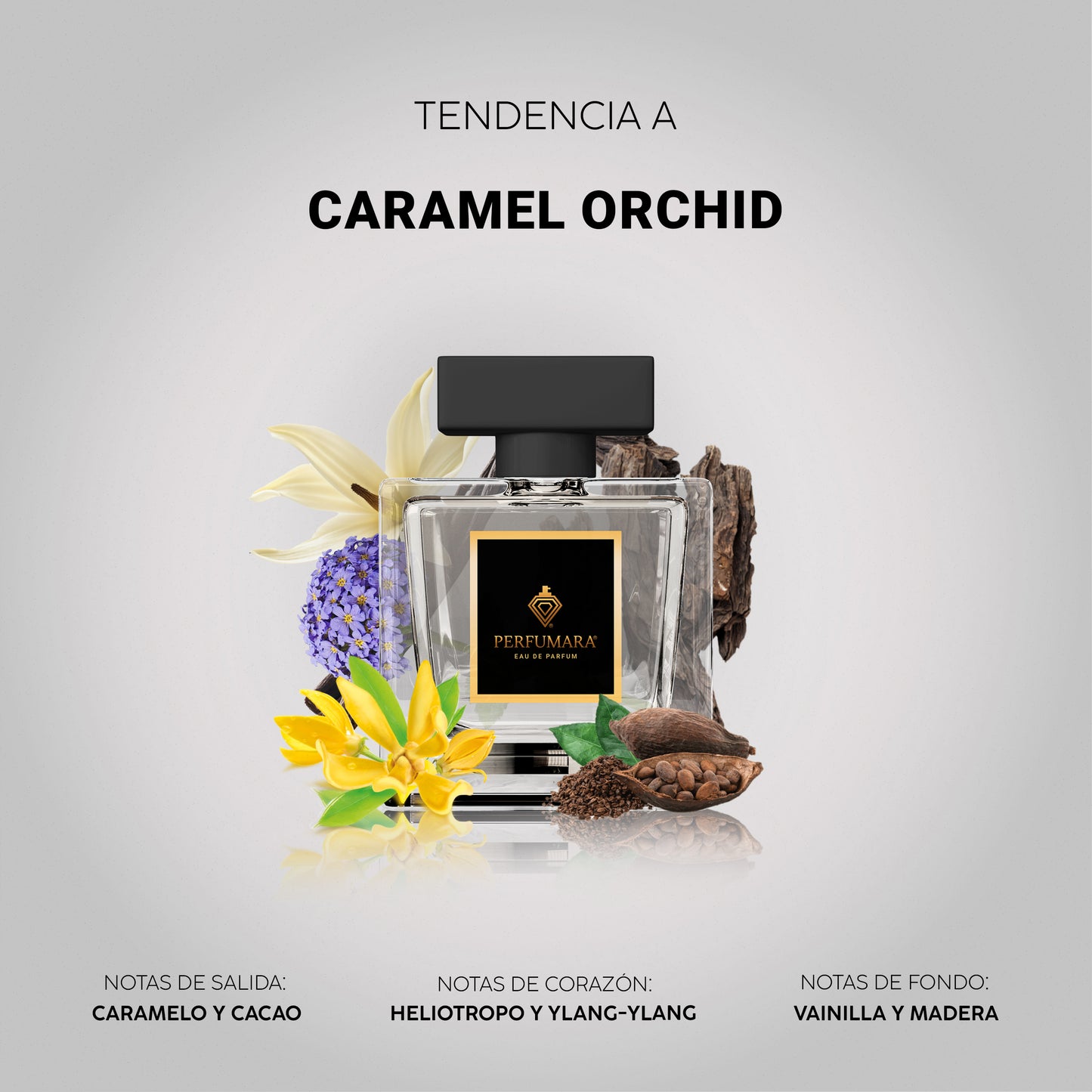 Tendencia a UCaramel Orchid
