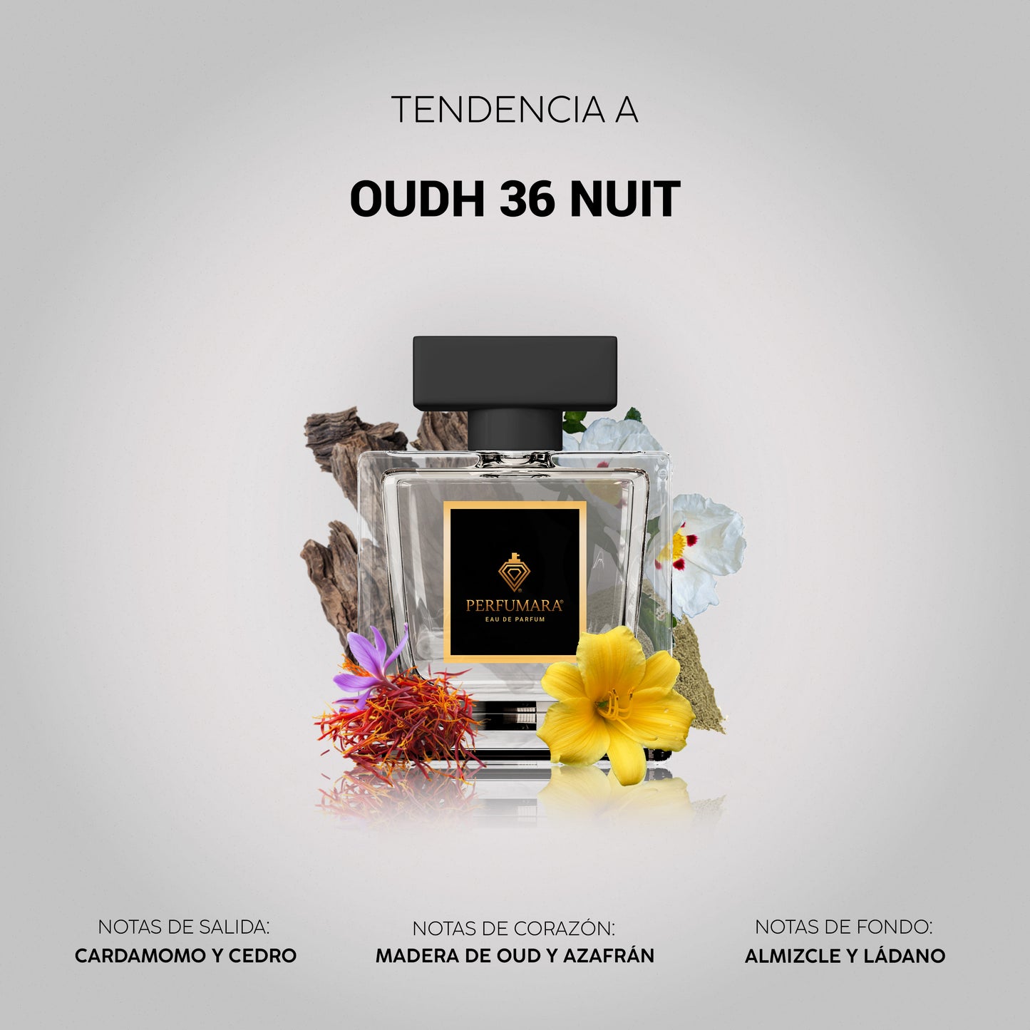 Tendencia a COudh 36 Nuit