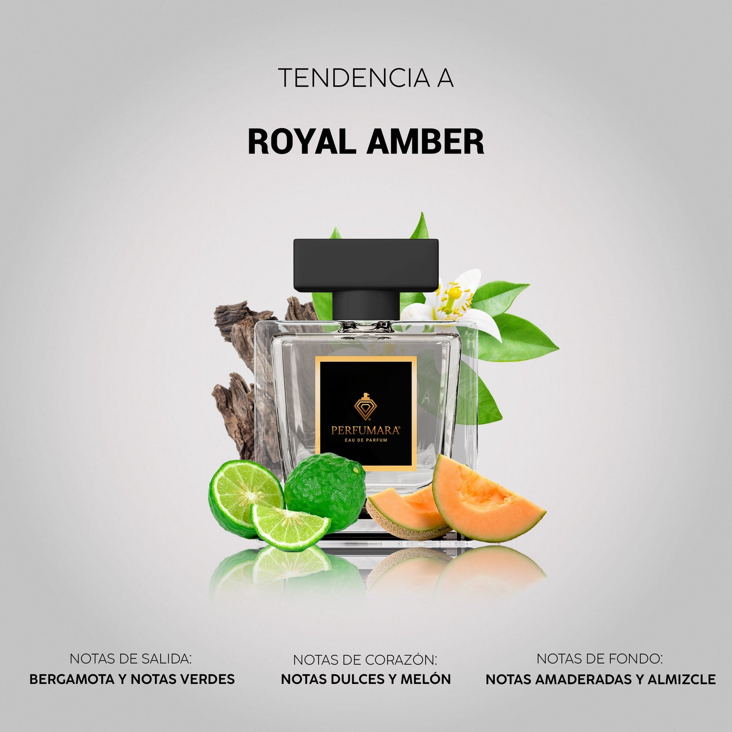 Tendencia a URoyal Amber