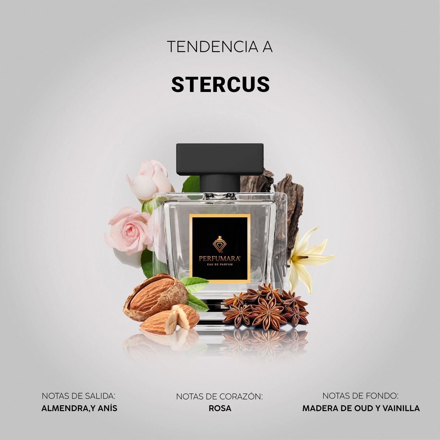 Tendencia a CStercus