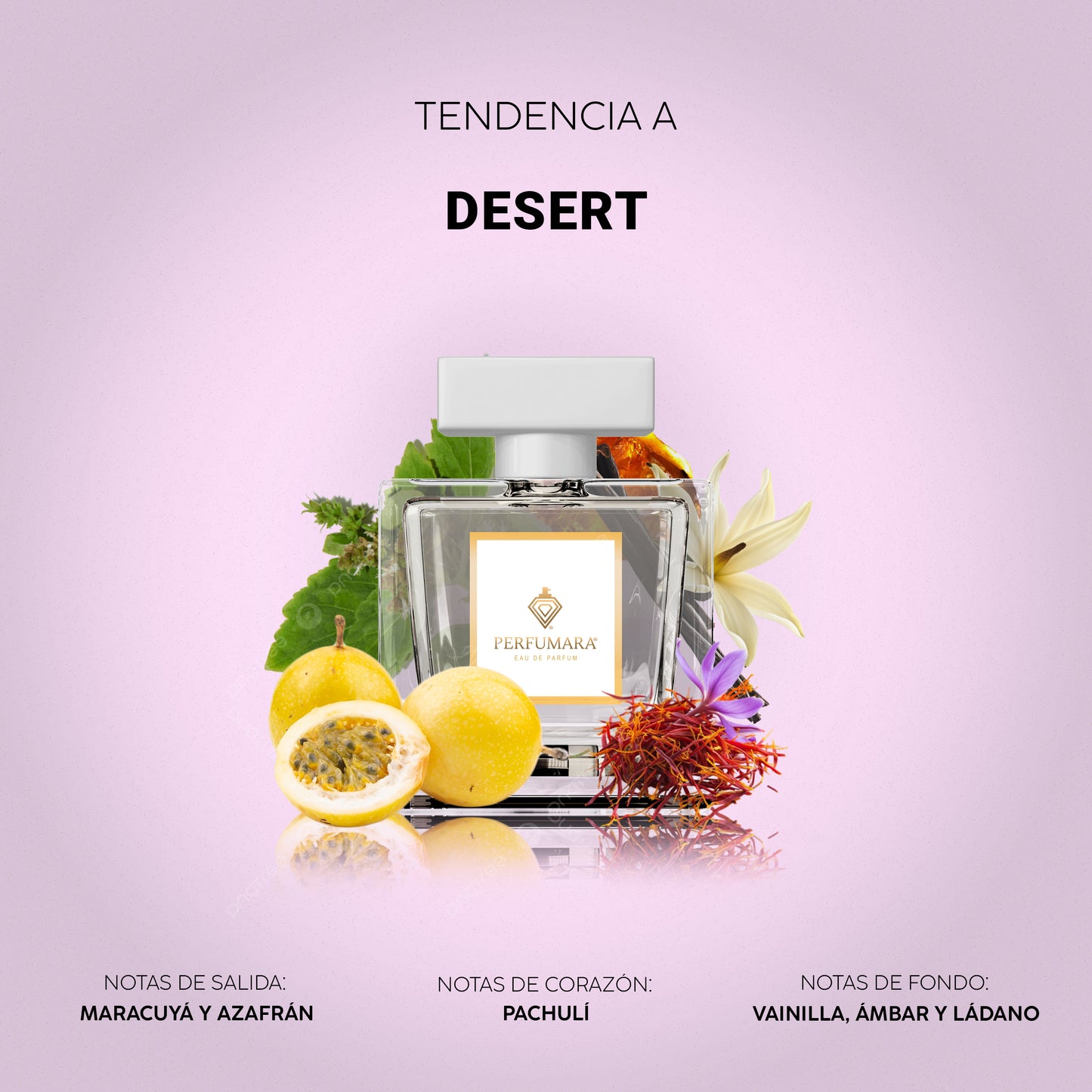 Tendencia a DDesert