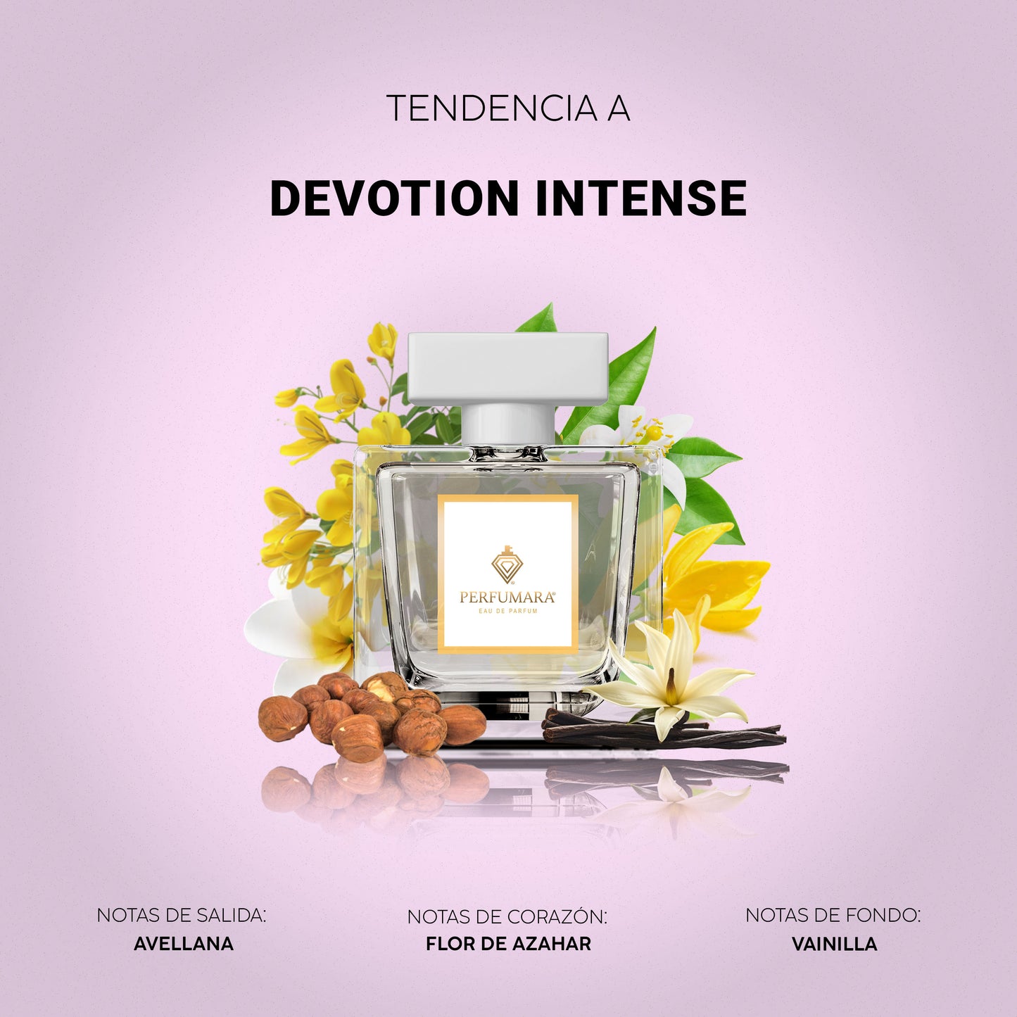 Tendencia a DDevotion Intense