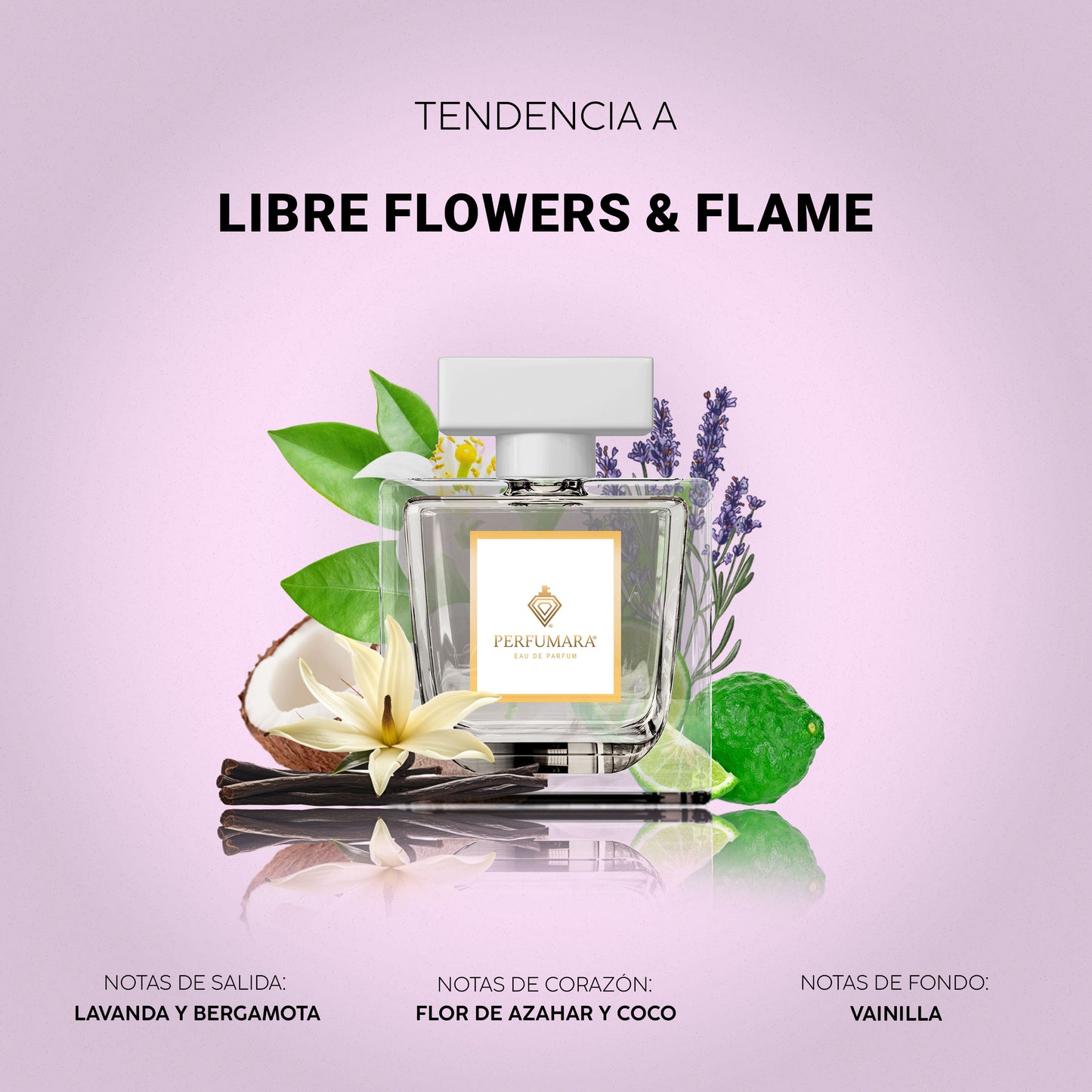 Tendencia a DLibre Flowers y Flames