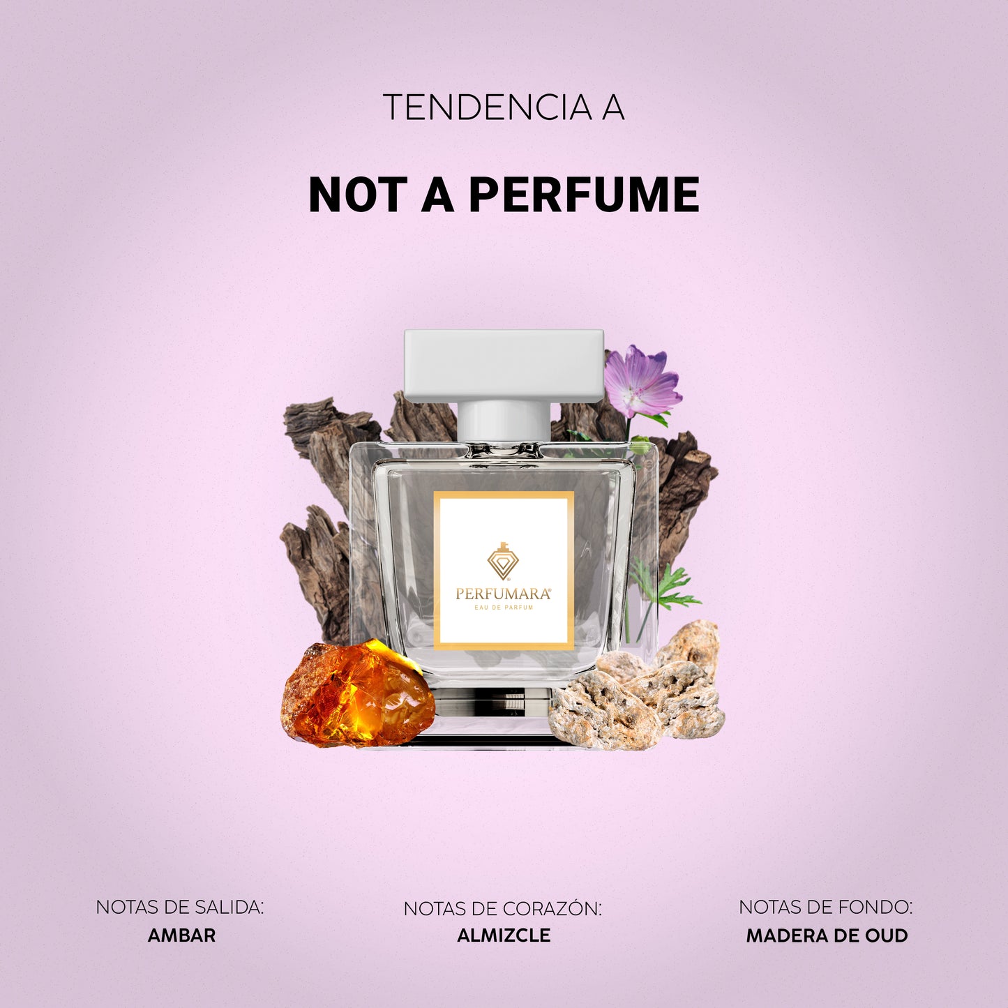 Tendencia a DNot A Perfume