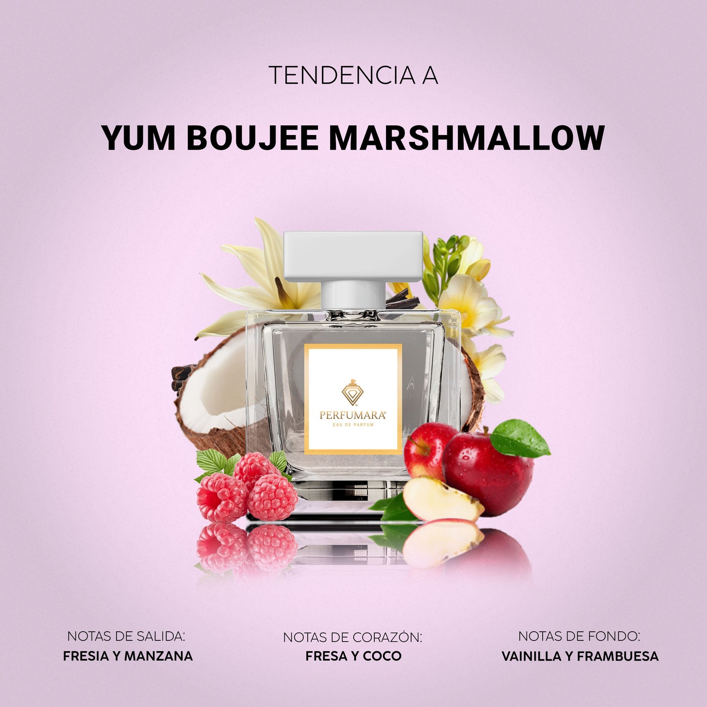 Tendencia a DYum Boujee Marshmallow