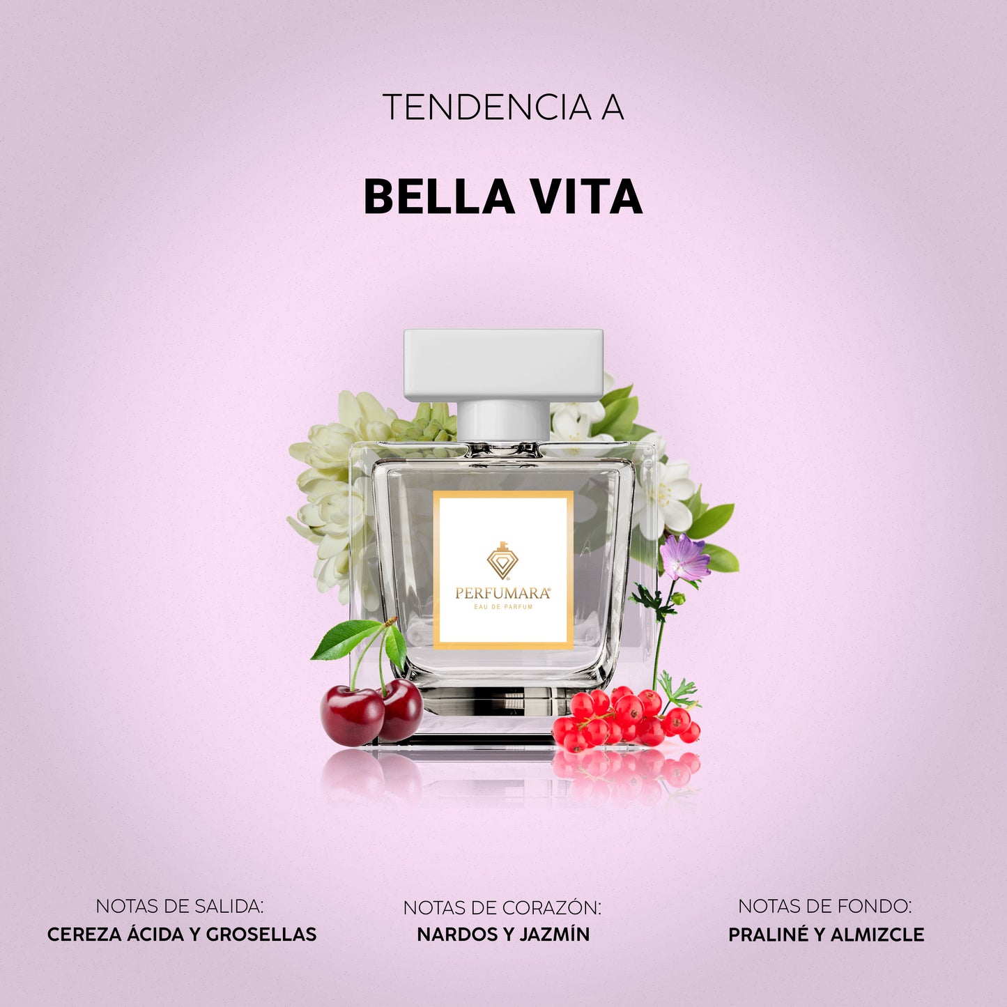Tendencia a DBella Vita