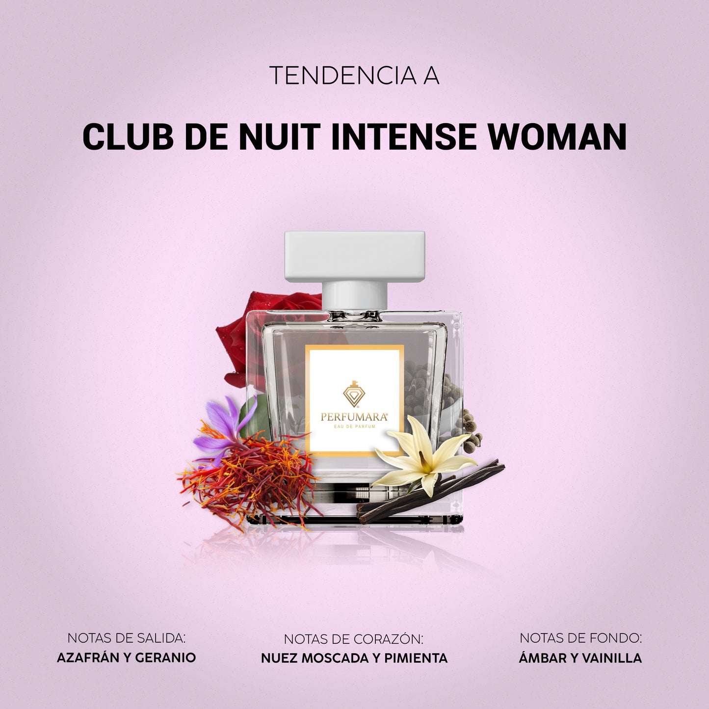 Tendencia a DClub De Nuit Intense Woman