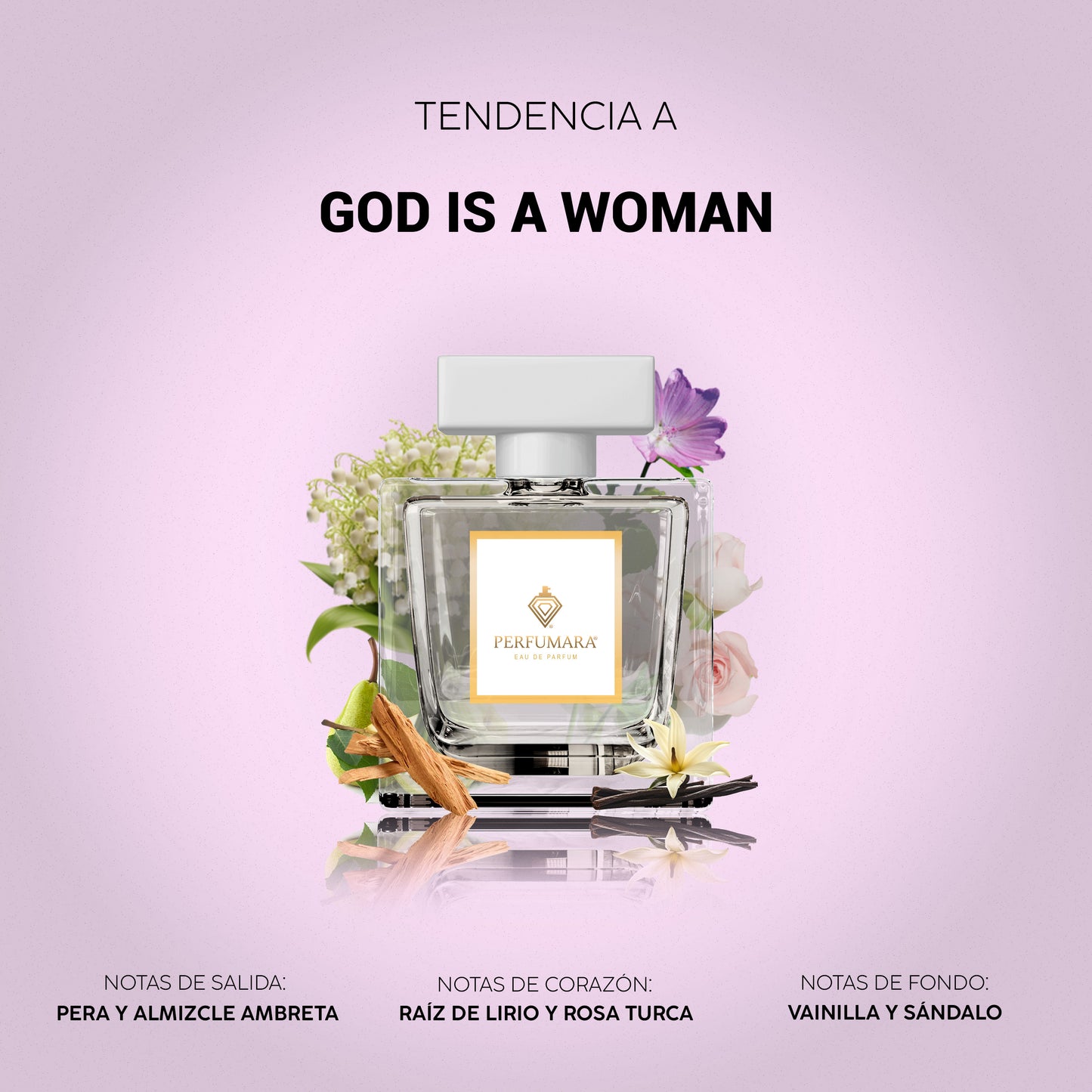 Tendencia a DGod Is A Woman