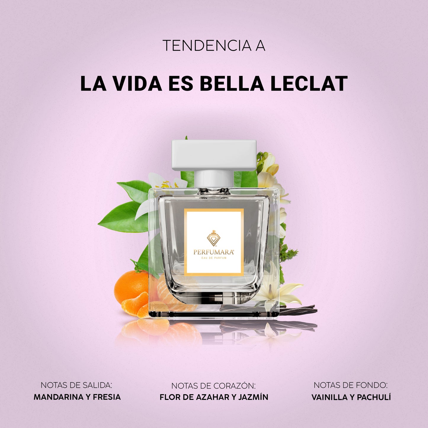 Tendencia a DLa Vida es bella L'Éclat