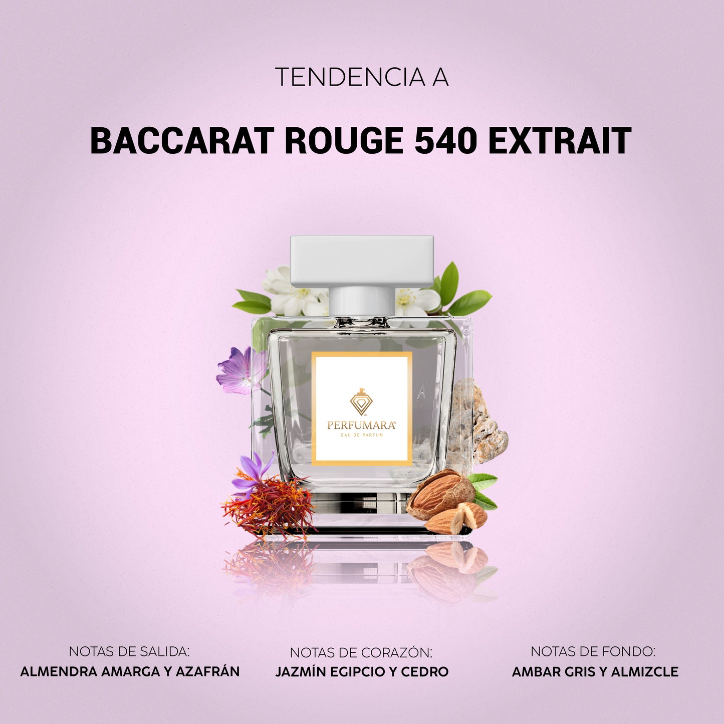 Tendencia a UBaccarat Rouge 540 Extrait