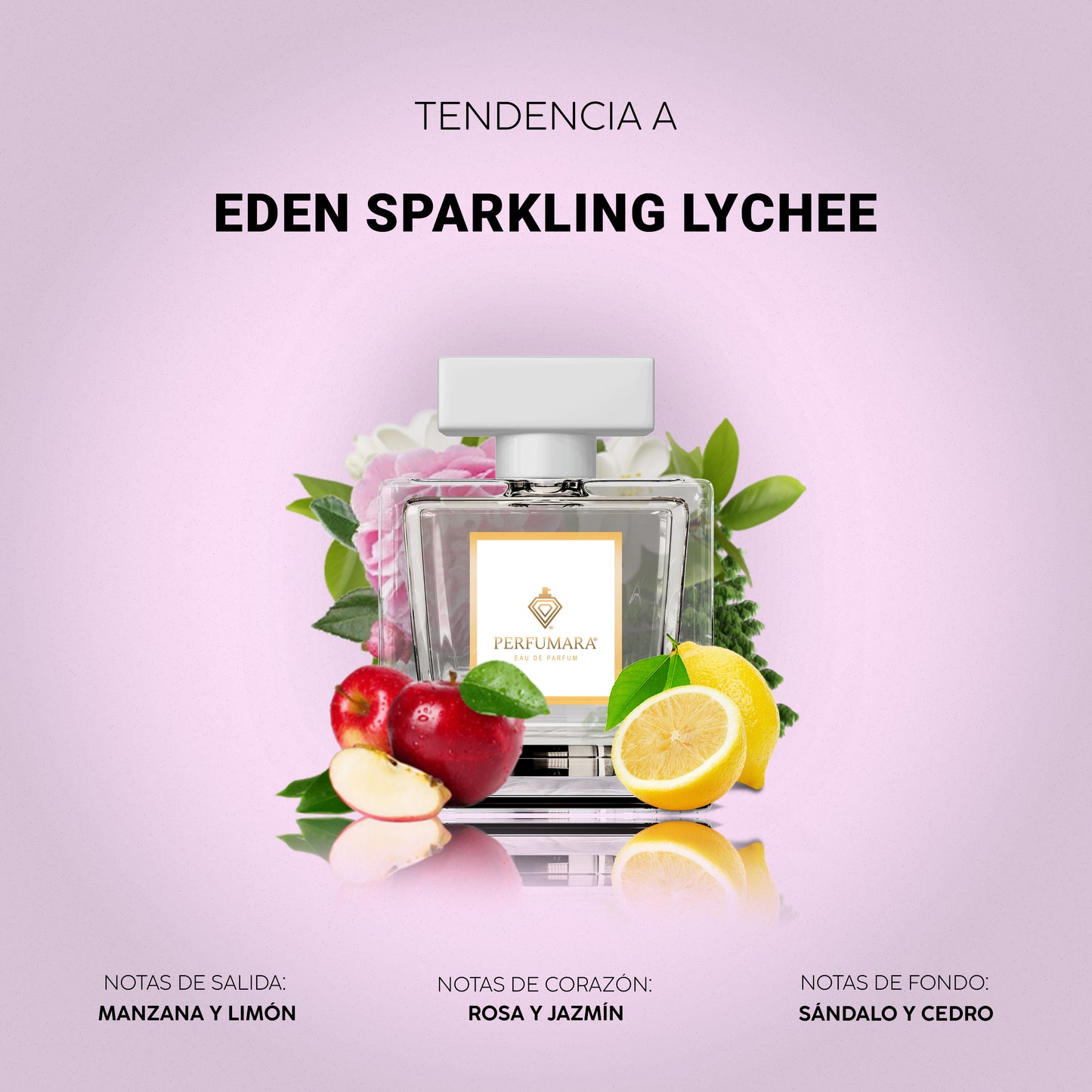 Tendencia a DEden Sparkling Lychee Kayali
