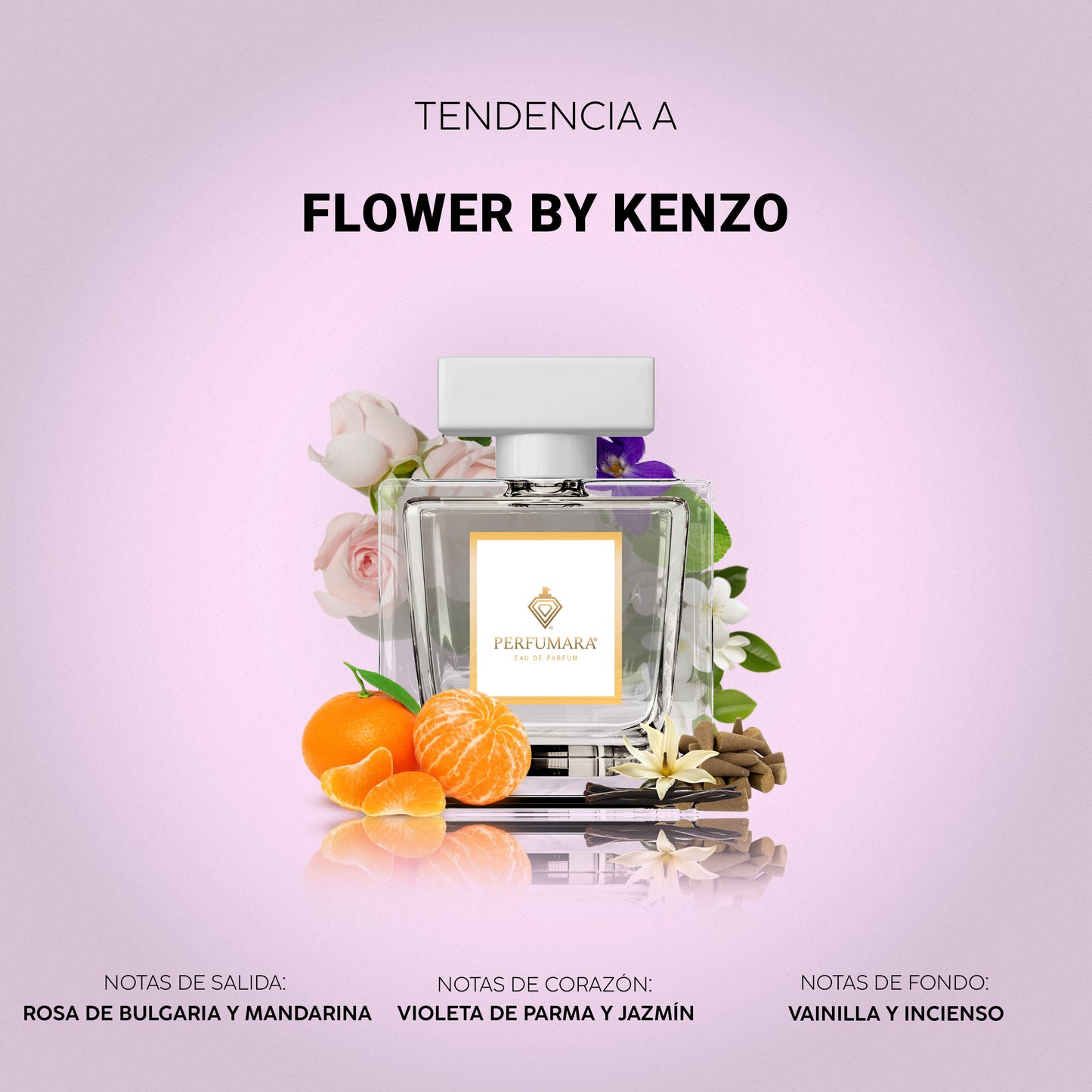 DAMA TOP FLORALES