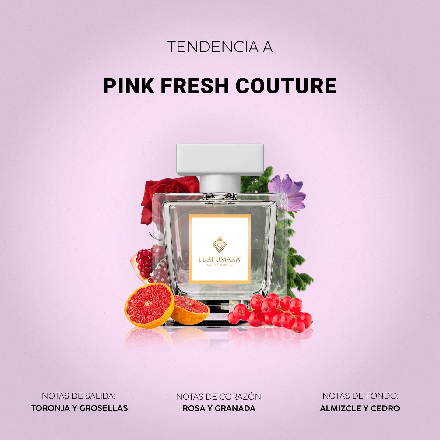 Tendencia a DPink Fresh Couture