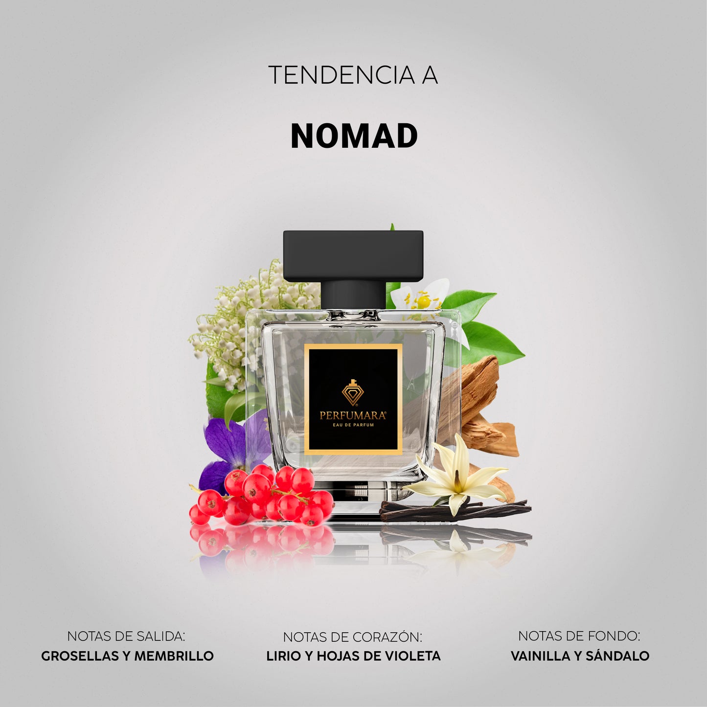 Tendencia a UNOMAD