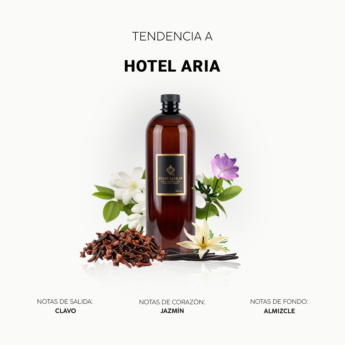 Hotel aria
