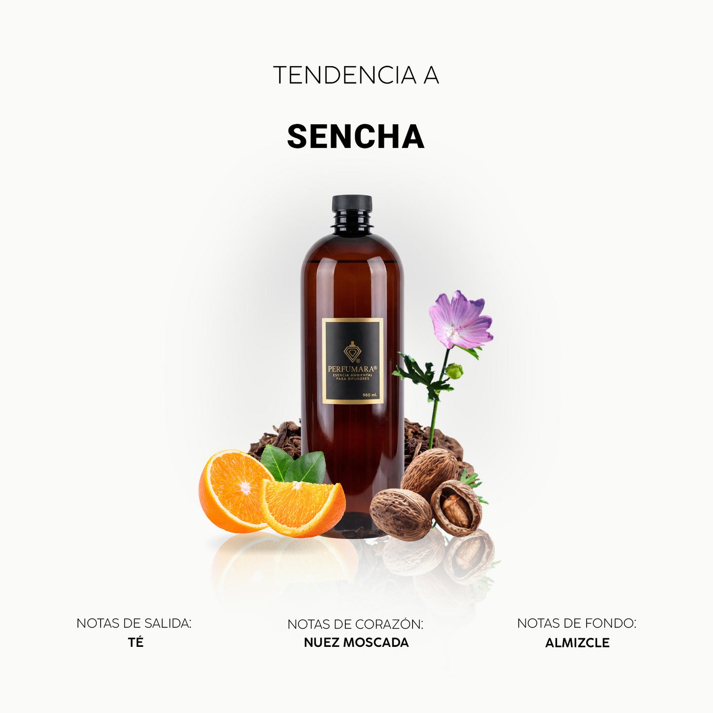 Asencha (Inspirado en tienda Nike)