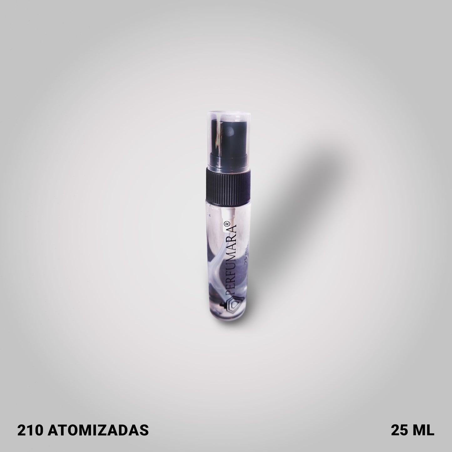 Tendencia a CAventus Cologn