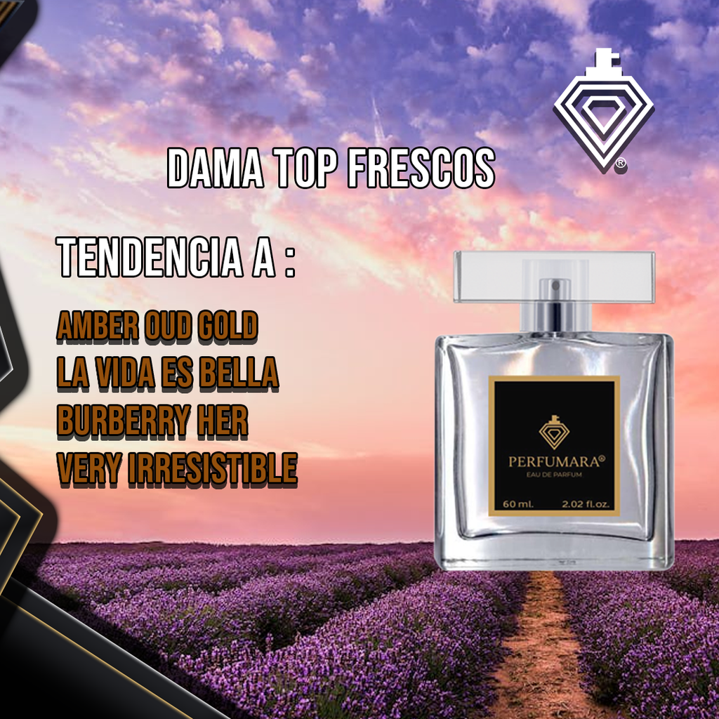 Tendencia DParadoxe