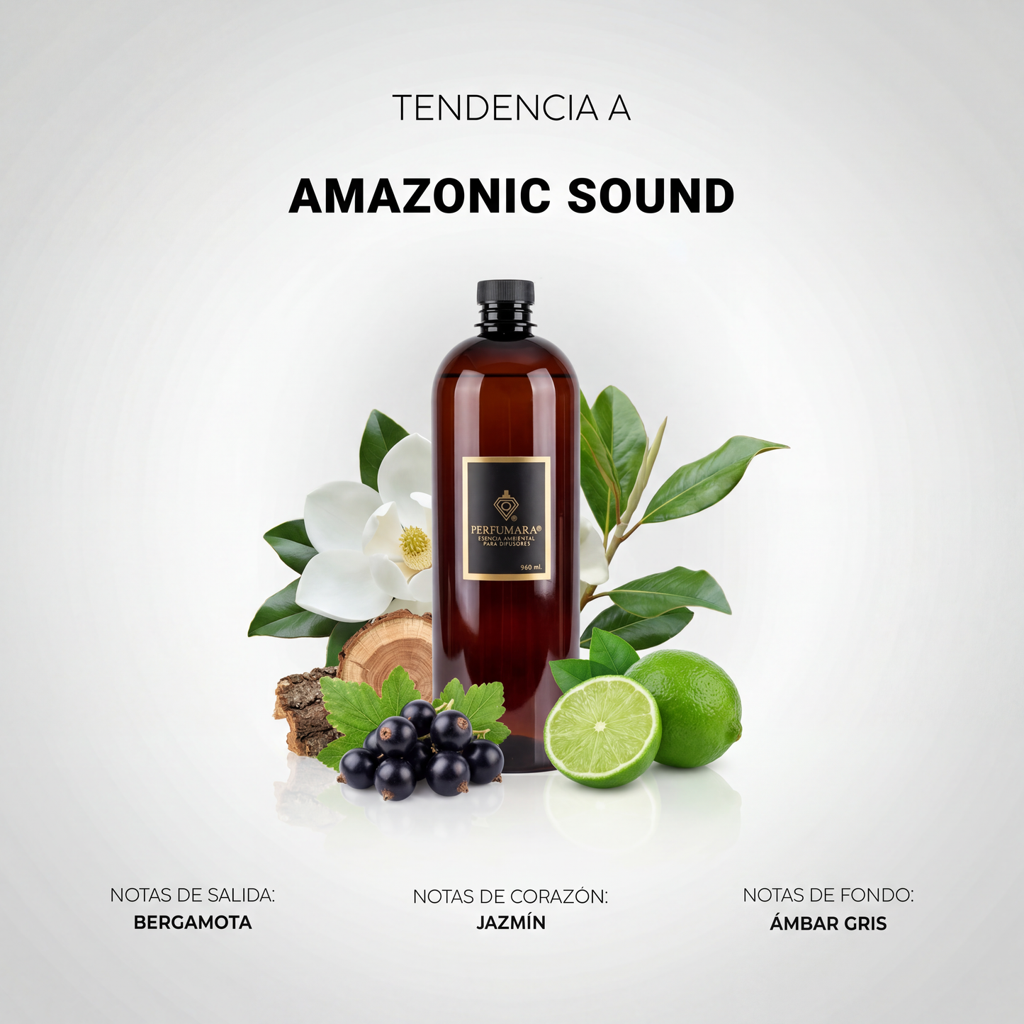 Amazonic Sound (Hotel de lujo)
