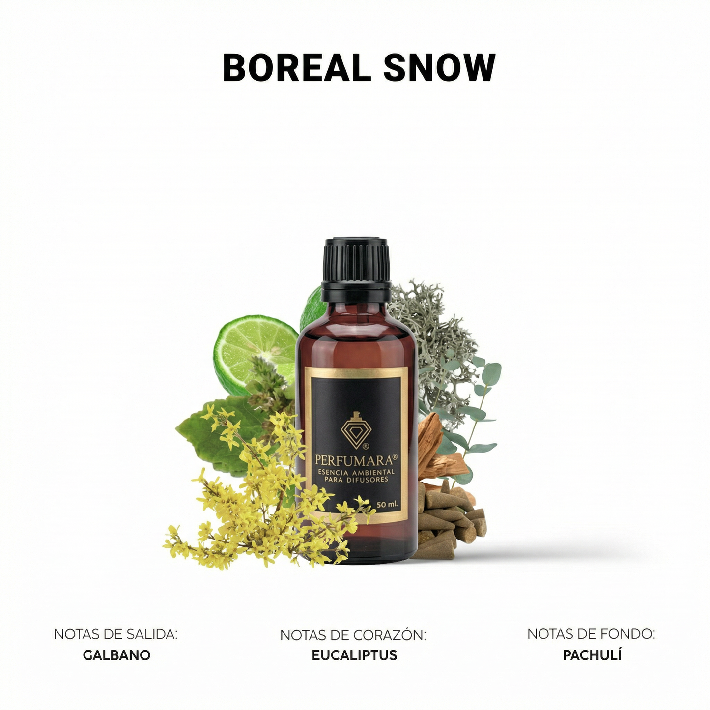 Boreal Snow