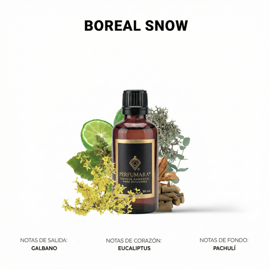 Boreal Snow