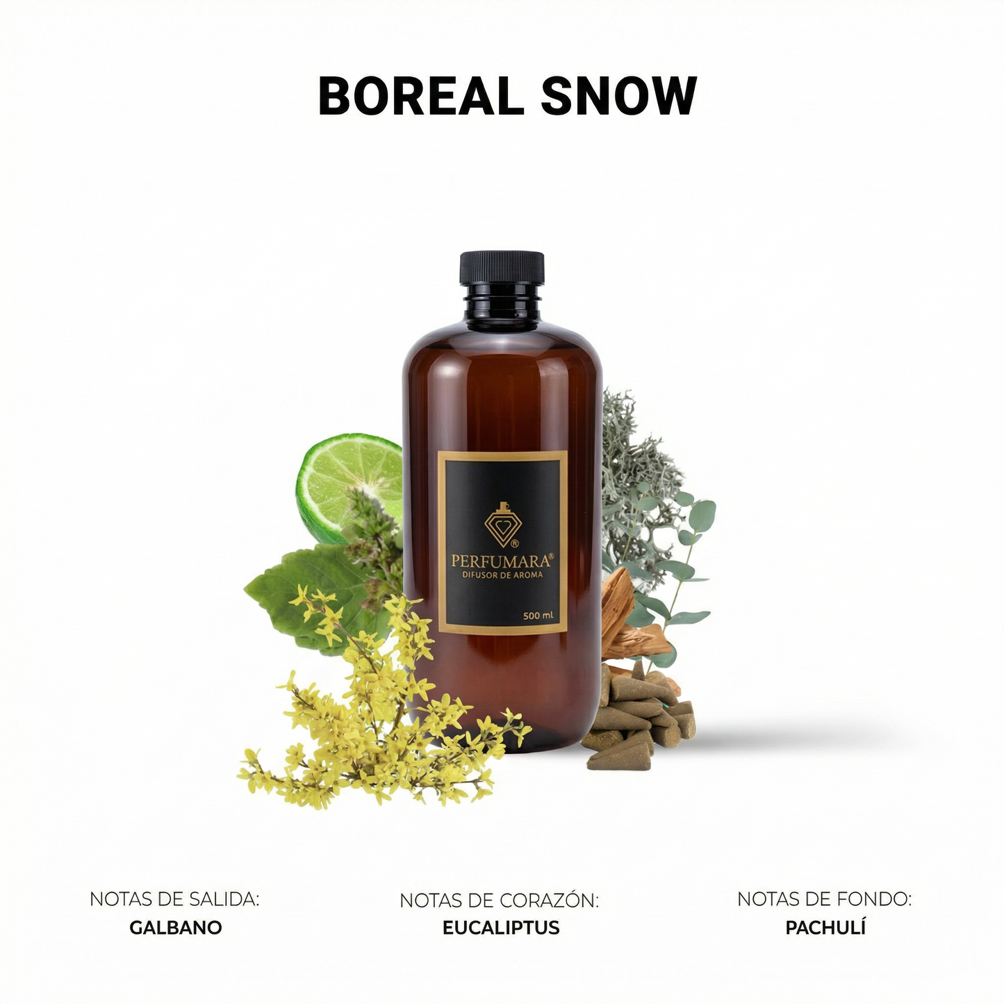 Boreal Snow