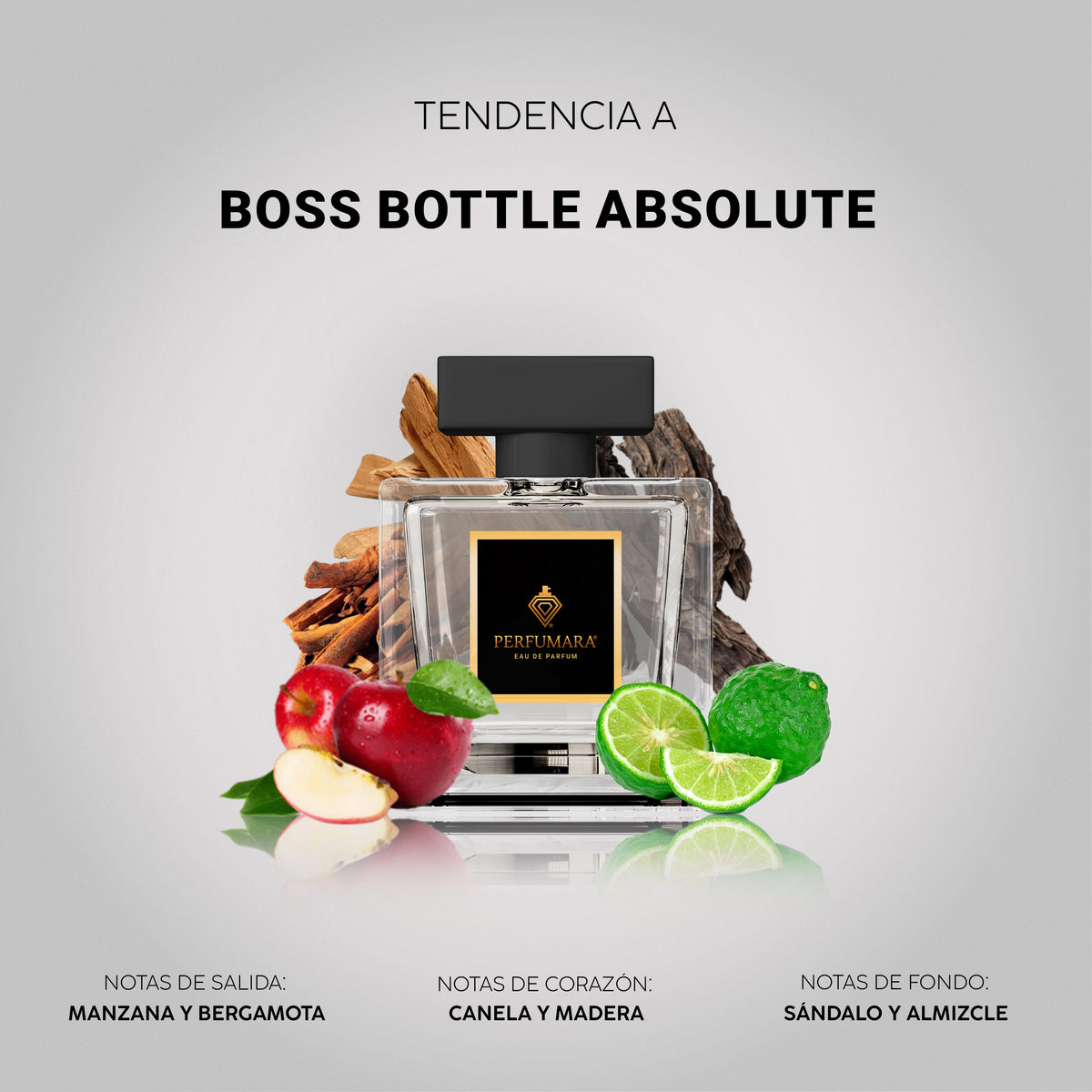 Tendencia a Hugo Boss Bottled Absolute