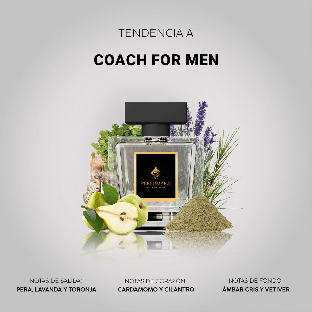 Tendencia a Coach For Men