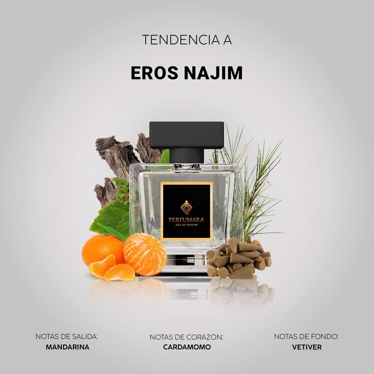 Tendencia a Eros Najim