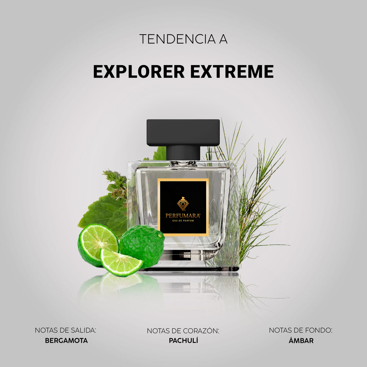 Tendencia a Explorer Extreme